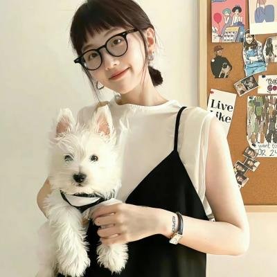 第三次视线